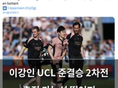 이강인 UCL 준결승 2차전 출전 가능성 떨어져