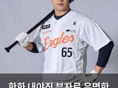 한화 내야진 부자로 유명한 이유