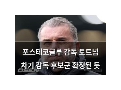 포스테코글루 감독 토트넘 차기 감독 후보군 확정된 듯