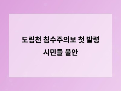 서울 도림천 침수주의보 발령 시민들 불안감 커져