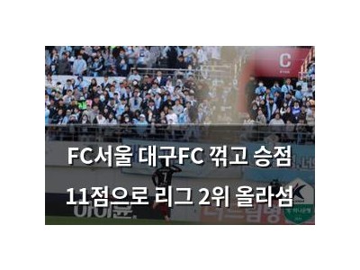FC서울 대구FC 꺾고 승점 11점으로 리그 2위 올라섬