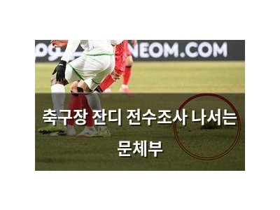 축구장 잔디 전수조사 나서는 문체부