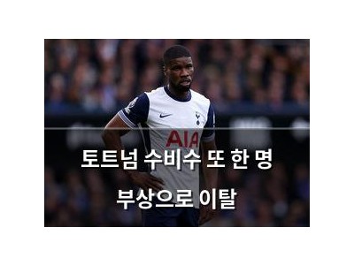 토트넘 수비수 또 한 명 부상으로 이탈