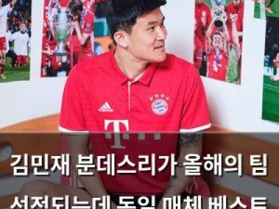 김민재 분데스리가 올해의 팀 선정되는데 독일 매체 베스트 11엔 없음