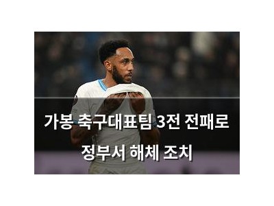 가봉 축구대표팀 3전 전패로 정부서 해체 조치