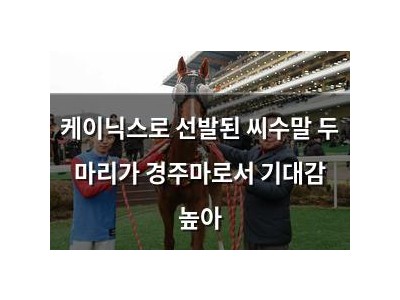 케이닉스로 선발된 씨수말 두 마리가 경주마로서 기대감 높아