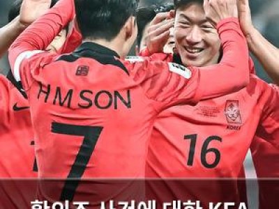 황의조 사건에 대한 KFA 공식 입장 나와