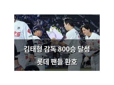 김태형 감독 800승 달성 롯데 팬들 환호